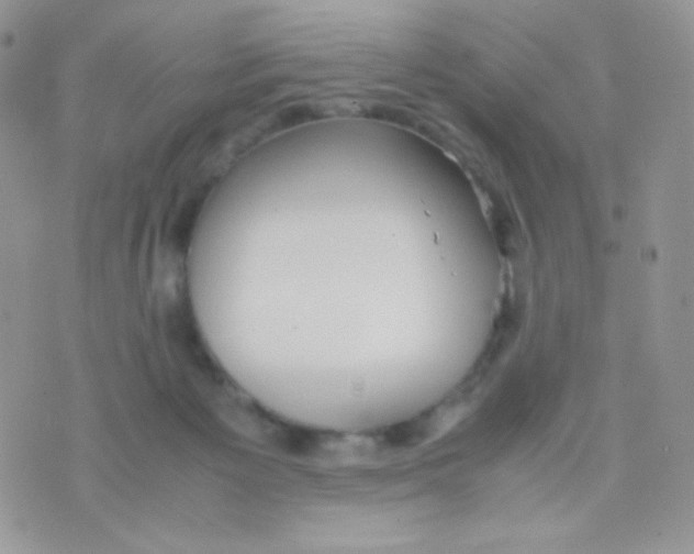 X0000074950125200609291857