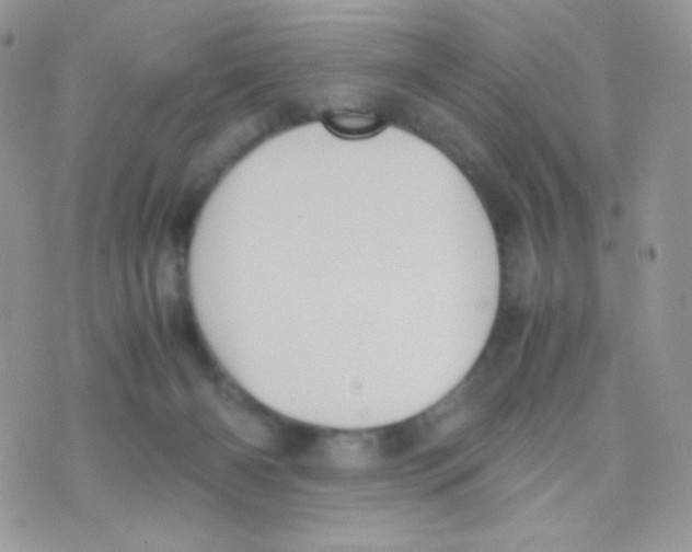 X0000074950126200609291857