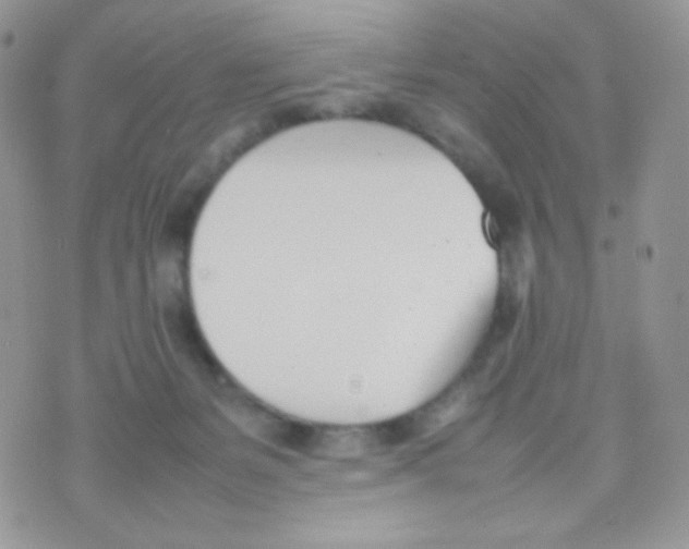 X0000074950127200609291857