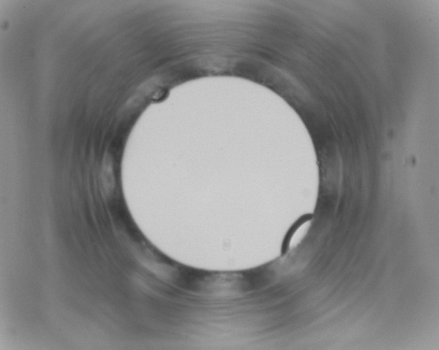 X0000074950128200609291857