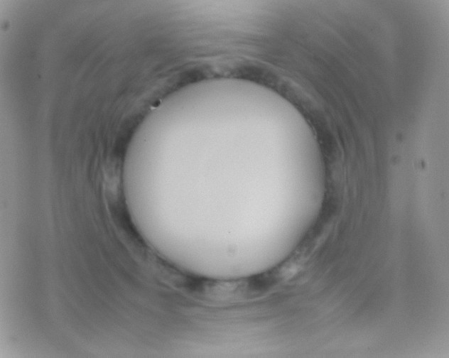 X0000074950129200609291857