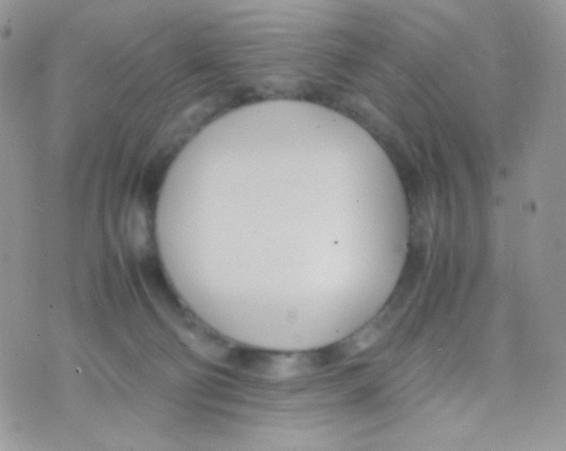 X0000074950130200609291857