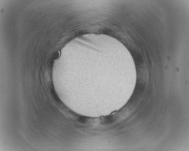 X0000074950131200609291857