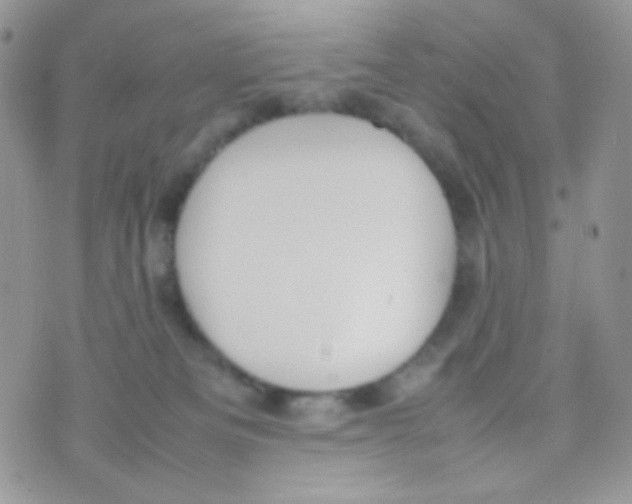 X0000074950133200609291857