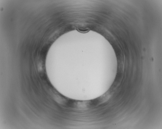 X0000074950134200609291857