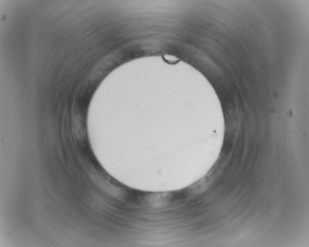 X0000074950136200609291857