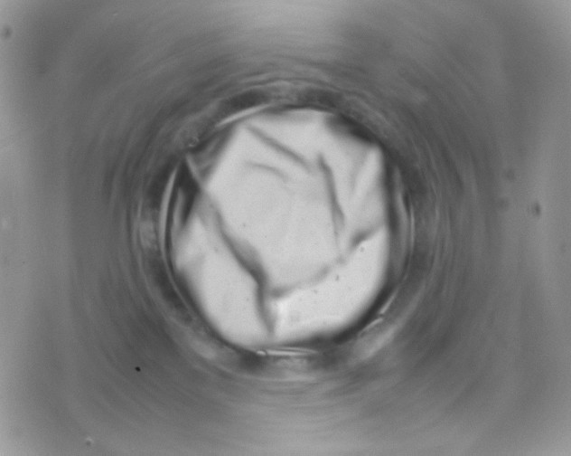 X0000074950137200609291857