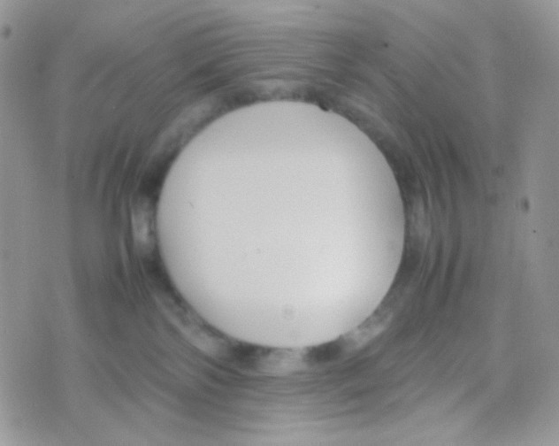 X0000074950138200609291857