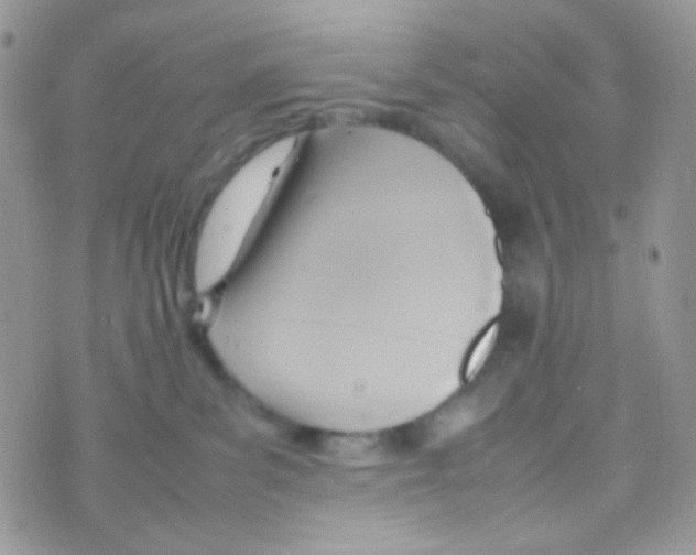 X0000074950139200609291857