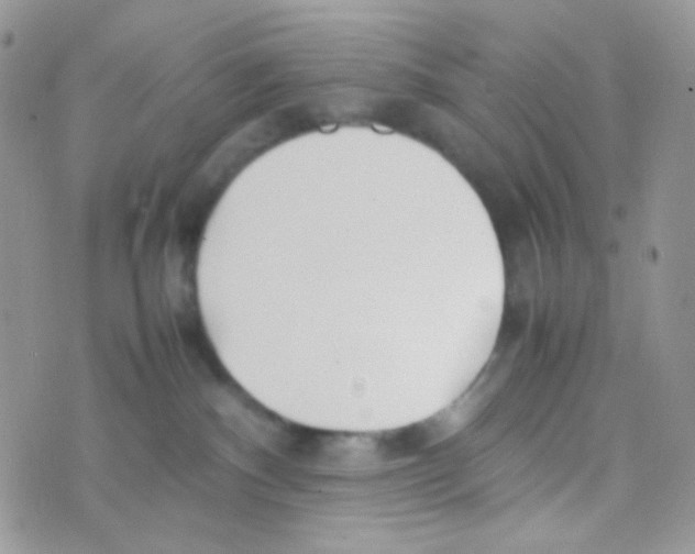 X0000074950140200609291857