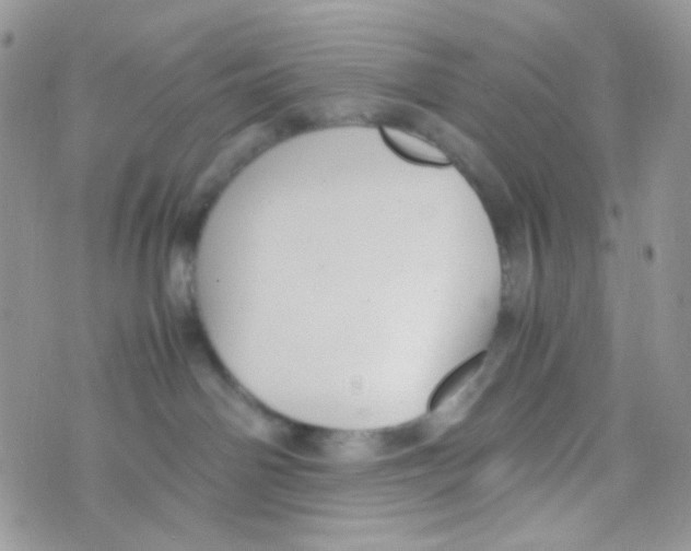 X0000074950142200609291857