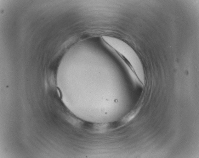 X0000074950143200609291857