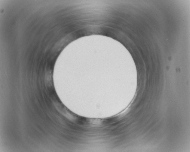 X0000074950144200609291857