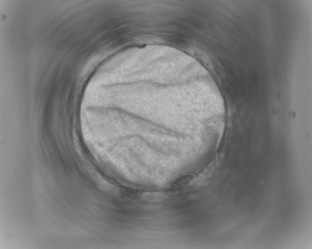 X0000074950145200609291856