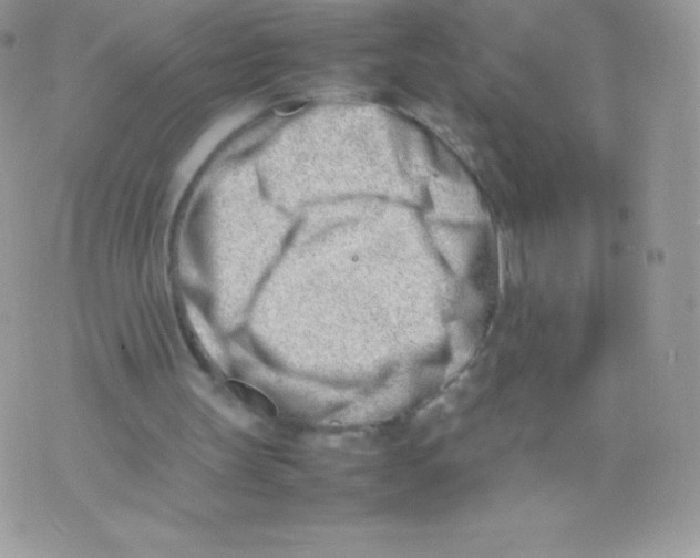 X0000074950147200609291856