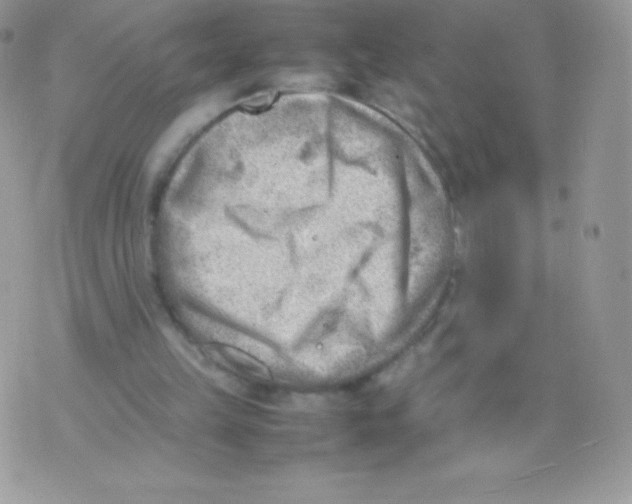 X0000074950149200609291856