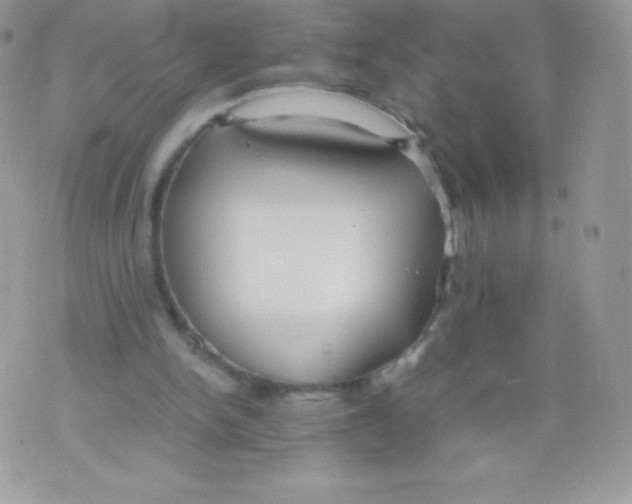 X0000074950150200609291856