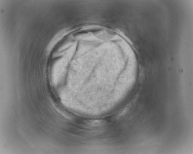 X0000074950151200609291856