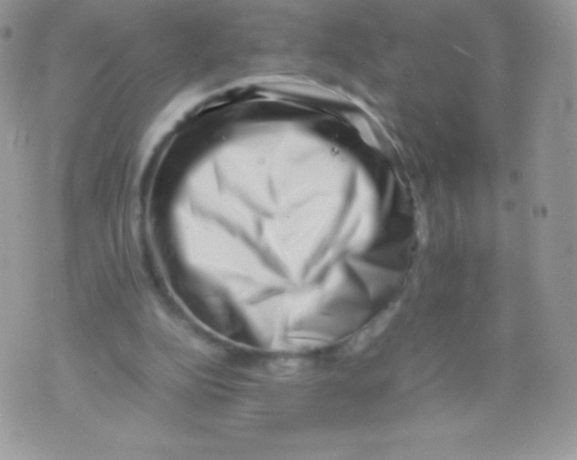 X0000074950152200609291856