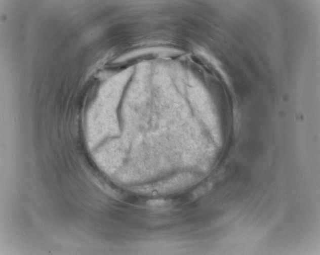 X0000074950153200609291856