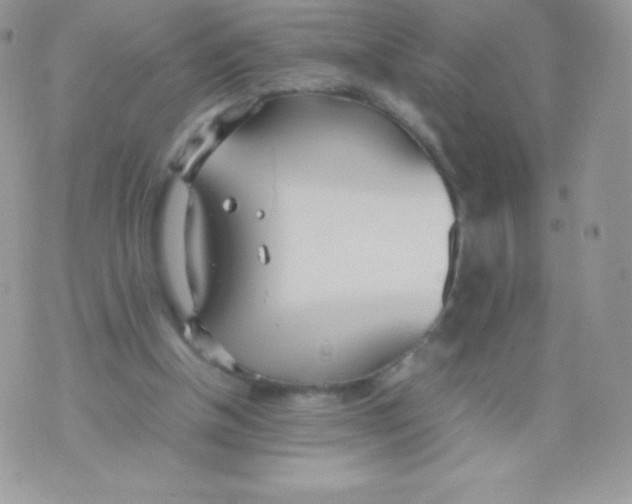 X0000074950154200609291856