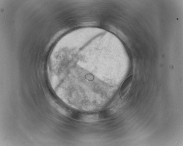 X0000074950155200609291856