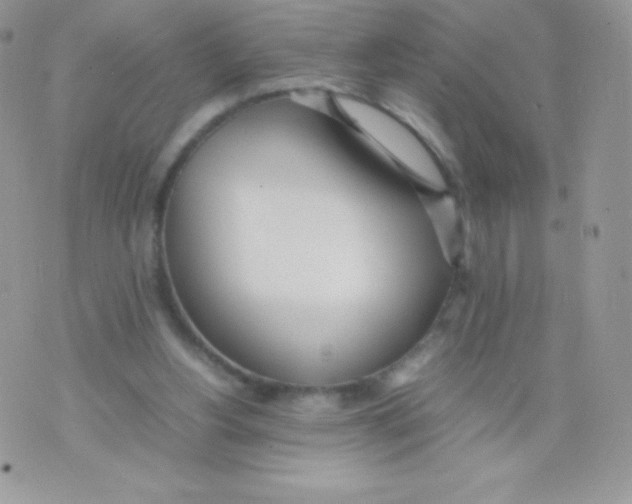 X0000074950156200609291856