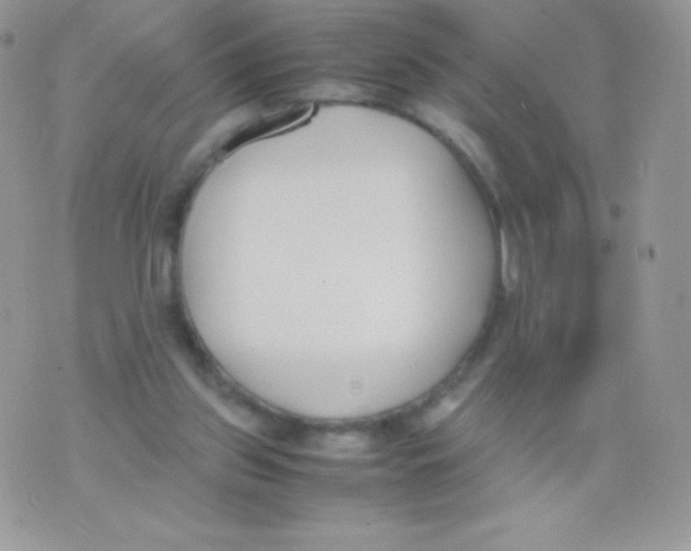 X0000074950157200609291856