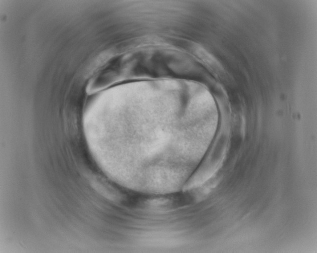 X0000074950158200609291856