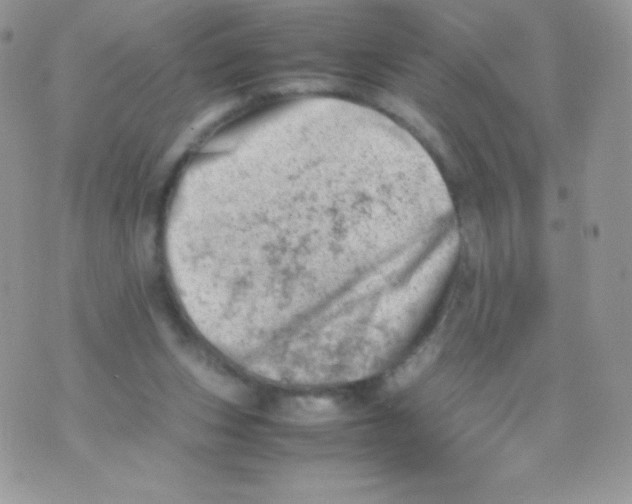 X0000074950159200609291856