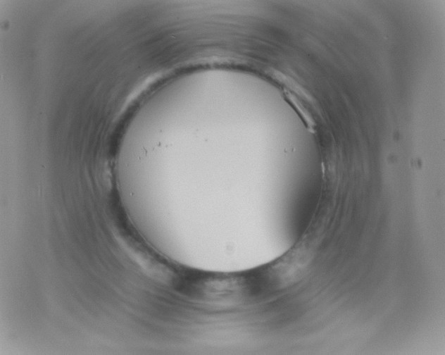 X0000074950160200609291856