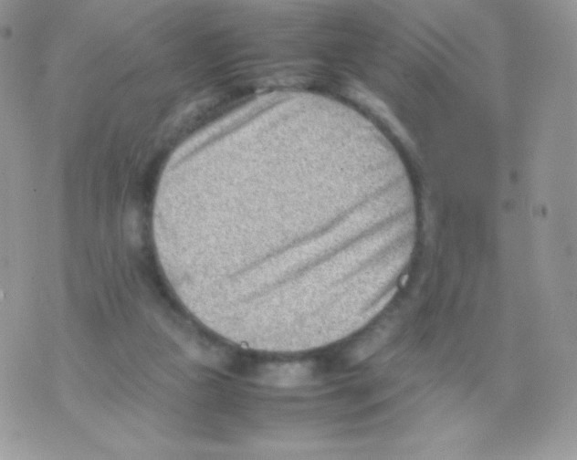 X0000074950161200609291856