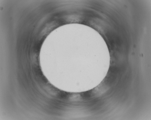 X0000074950162200609291856