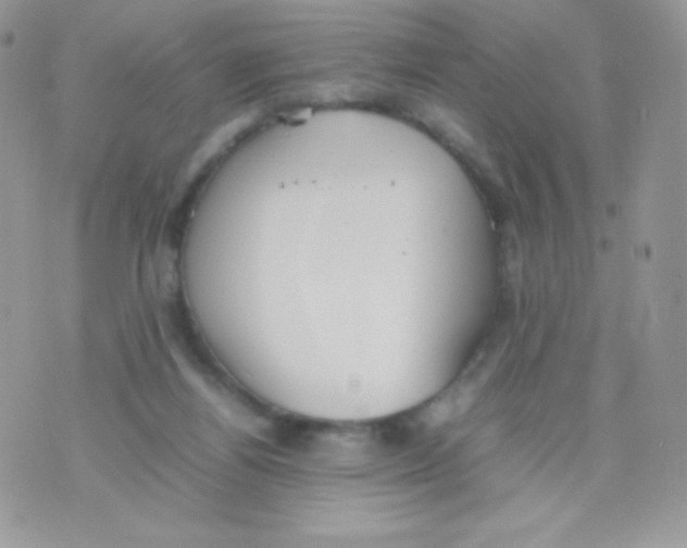 X0000074950164200609291856