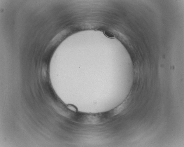 X0000074950166200609291856