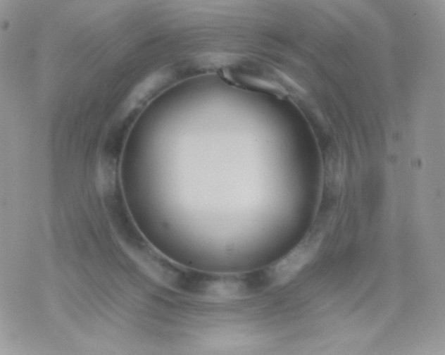 X0000074950168200609291856