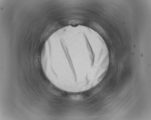 X0000074950169200609291856