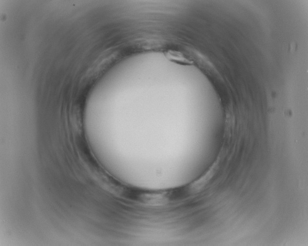 X0000074950170200609291856