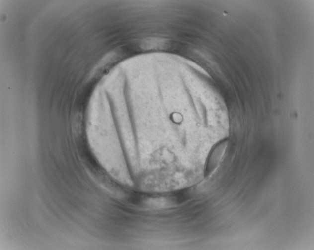 X0000074950171200609291856