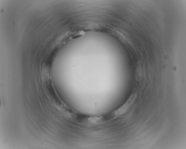 X0000074950172200609291856