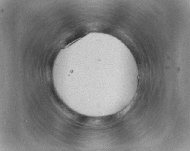 X0000074950174200609291856