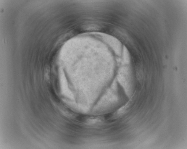 X0000074950175200609291856