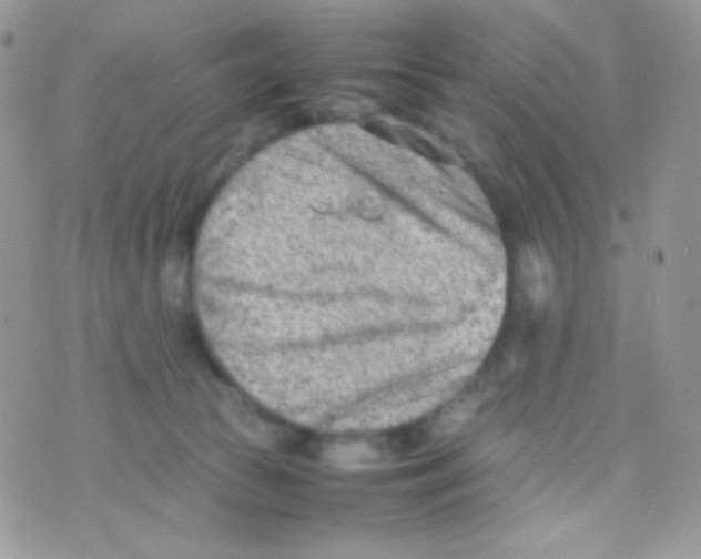 X0000074950177200609291856