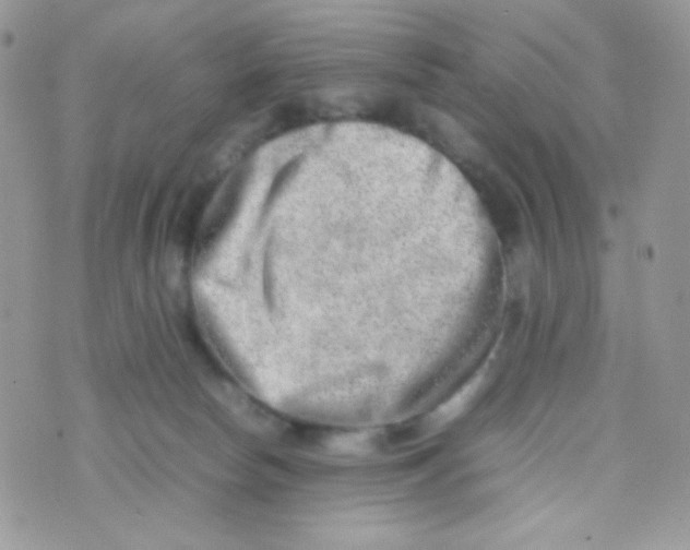 X0000074950178200609291856