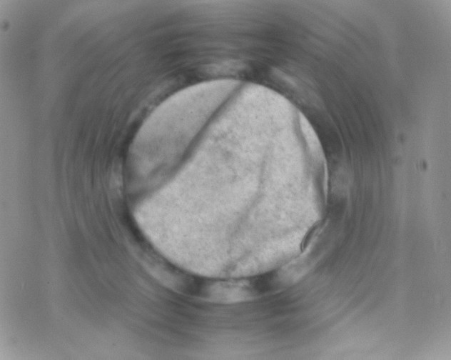 X0000074950179200609291856