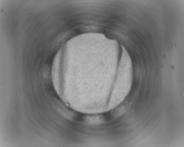 X0000074950181200609291856