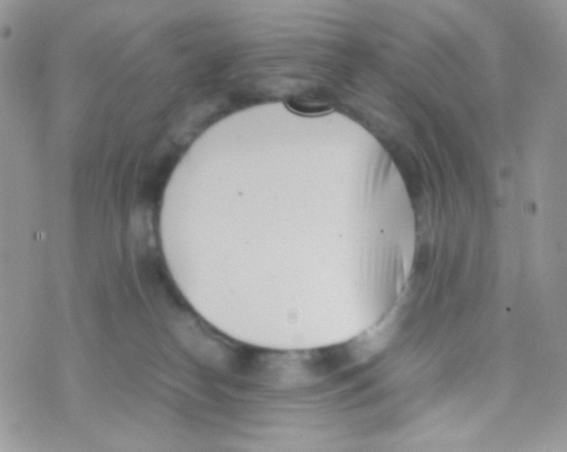 X0000074950182200609291856