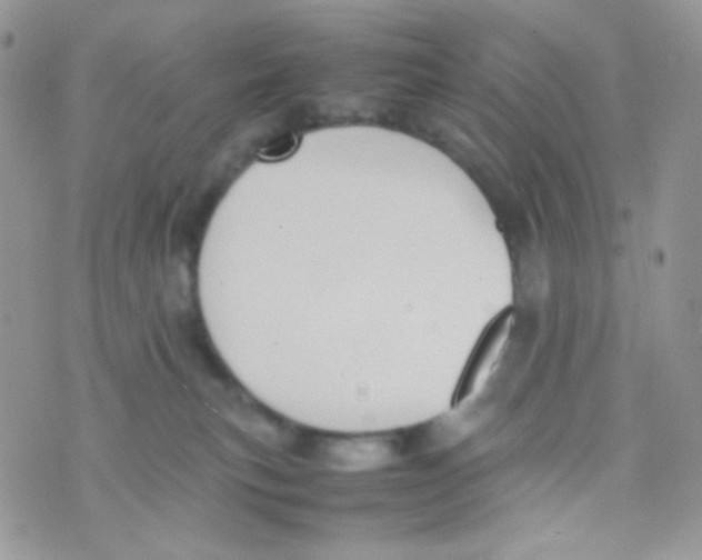 X0000074950183200609291857