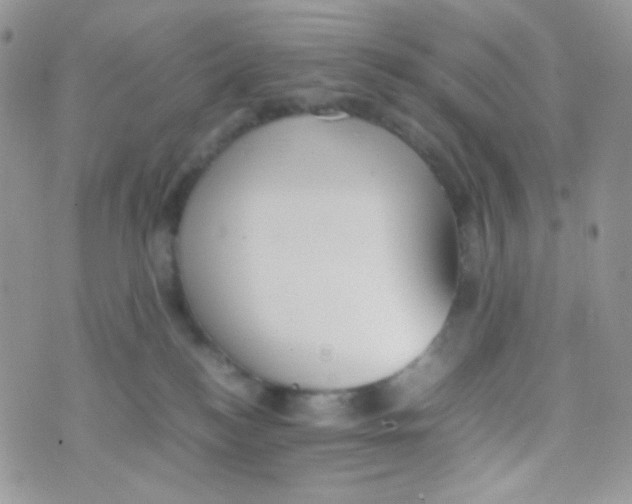 X0000074950184200609291857