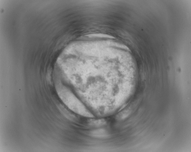 X0000074950185200609291857